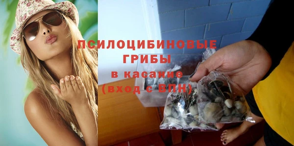 трава Новокубанск