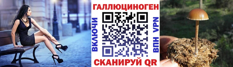 Галлюциногенные грибы ЛСД  Купить закладки  Димитровград 